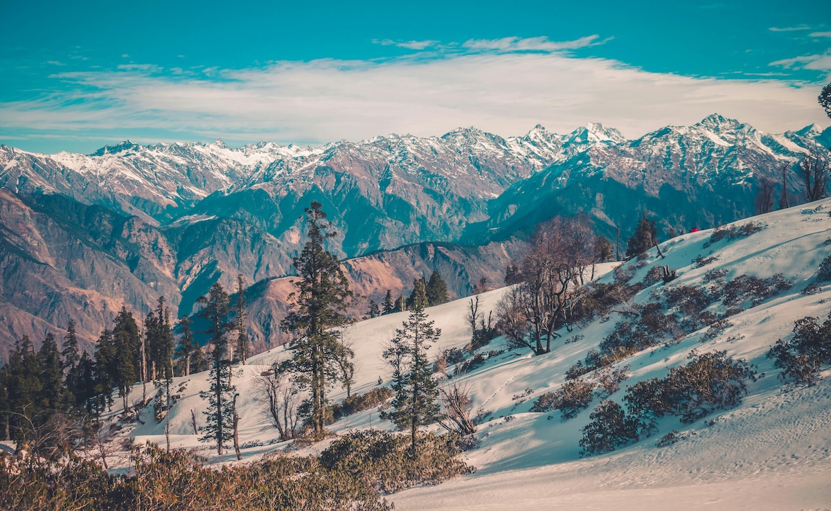 Latest and Breaking News on NDTV Latest and Breaking News on NDTV