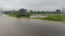 Raigad Rain: रायगडमध्ये पावसाचे थैमान! नद्यांनी इशारा पातळी ओलांडली, शाळांना सुट्ट्या जाहीर