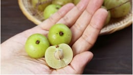 Amla Benefits: बालों का झड़ना कैसे रोकें, आंखों की रोशनी कैसे बढ़ाएं? सब सवालों का यही है जवाब
