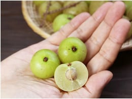 डायबिटीज को कंट्रोल करने से लेकर बालो को मजबूत बनाने तक में मददगार है आंवले का सेवन