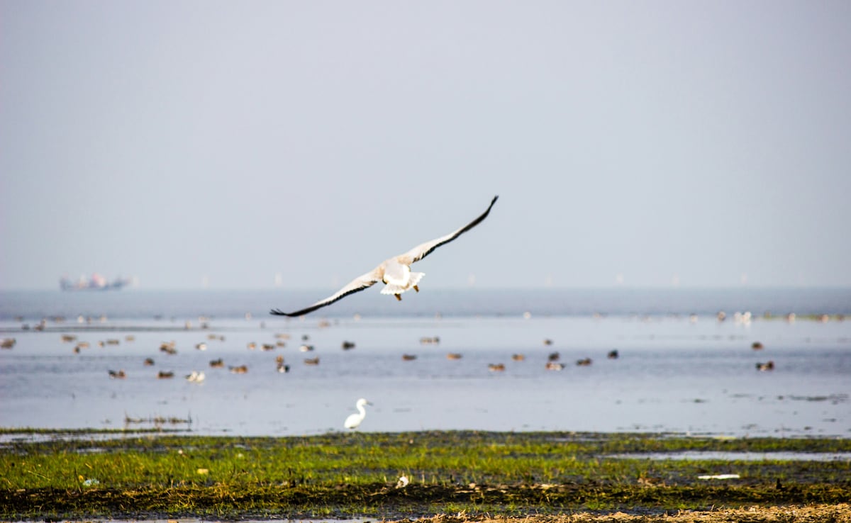 Photo: Unsplash Photo: Unsplash