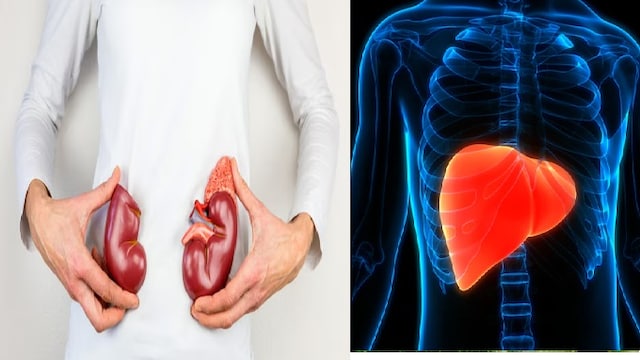 If you observe one or more of these signs, its important to consult a healthcare professional