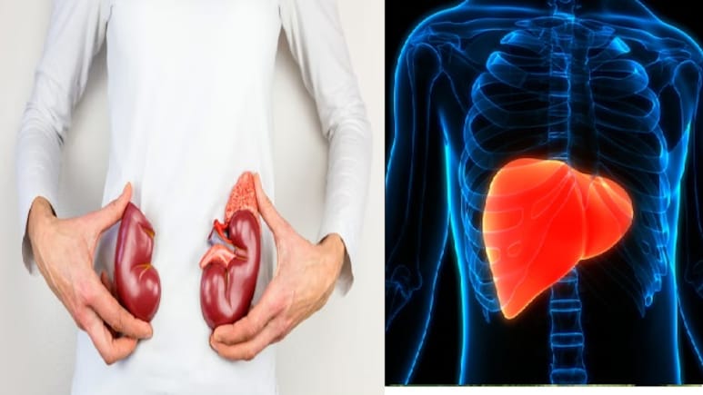 Liver Diseases May Go Undetected; Here Are Warning Signs To Look Out For