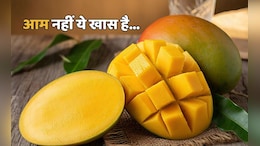 Sunderja Mango: राजाओं की पसंद, मनभावन महक... आइसक्रीम की तरह खा सकते हैं इसे