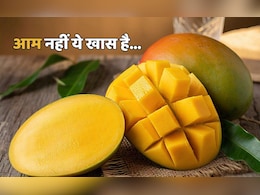 Sunderja Mango: राजाओं की पसंद, मनभावन महक... आइसक्रीम की तरह खा सकते हैं इसे Sunderja Mango: राजाओं की पसंद, मनभावन महक... आइसक्रीम की तरह खा सकते हैं इसे