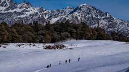Auli Travel Guide: The Himalayan Escape You've Been Dreaming About