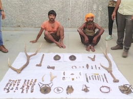 बारहसिंगा के सींग-लिजर्ड के अंग-लेपर्ड का नाखून और कछुए बरामद, वन्यजीव तस्करों पर बड़ी कार्रवाई, 2 गिरफ्तार बारहसिंगा के सींग-लिजर्ड के अंग-लेपर्ड का नाखून और कछुए बरामद, वन्यजीव तस्करों पर बड़ी कार्रवाई, 2 गिरफ्तार