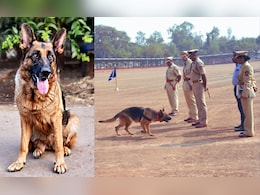 कर्तव्यनिष्ठ श्वानाची सेवा थांबली! लाखोंचा अमली पदार्थांचा साठा शोधणाऱ्या पोलीस दलातील लुसीचा मृत्यू 