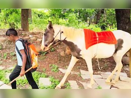 Solapur News : ना सायकल, ना स्कूल बस; वस्तीतील आदर्शचा घोड्यावरुन शाळेपर्यंत प्रवास, गावात चर्चा