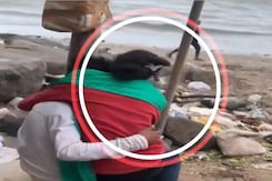"New Day, New Low": Insta Account Sparks Outrage By Posting Mumbai Couples' Private Videos "New Day, New Low": Insta Account Sparks Outrage By Posting Mumbai Couples' Private Videos