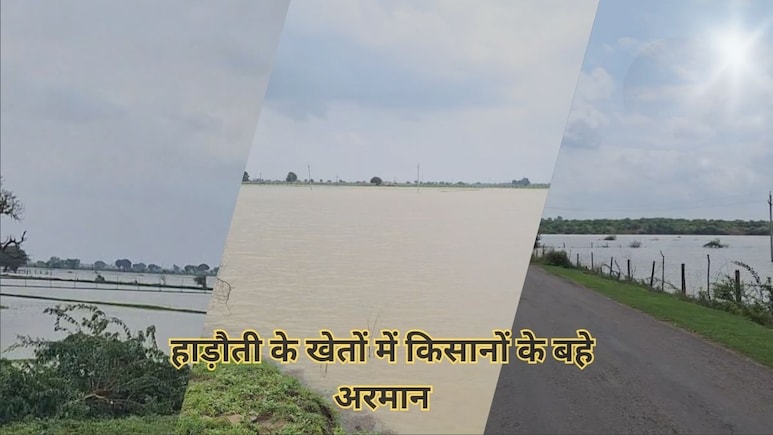 Rajasthan: हाड़ौती में बारिश का 30 साल पुराना रिकॉर्ड टूटा, किसान निराश; करीब 5000 बीघा जमीन पर फसलें बर्बाद Rajasthan: हाड़ौती में बारिश का 30 साल पुराना रिकॉर्ड टूटा, किसान निराश; करीब 5000 बीघा जमीन पर फसलें बर्बाद