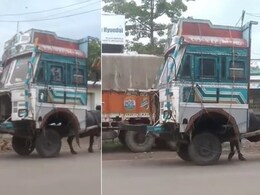 सड़क पर उल्टा चल रहे ट्रक को देख घूमा लोगों का सिर, Video में देखें आखिर क्या है पूरा माजरा ? सड़क पर उल्टा चल रहे ट्रक को देख घूमा लोगों का सिर, Video में देखें आखिर क्या है पूरा माजरा ?