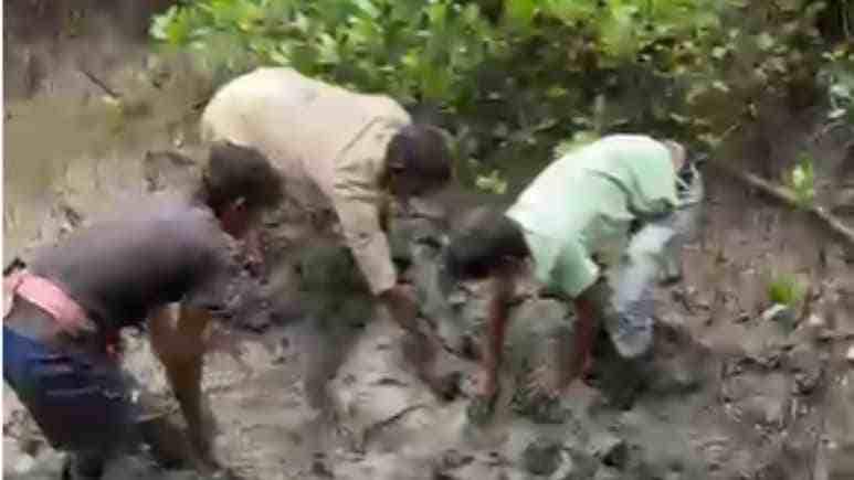 एकतरफा प्यार और फिर शादी का ऑफर... महिला ने किया इनकार तो सिरफिरे आशिक ने कर दी पति की हत्या