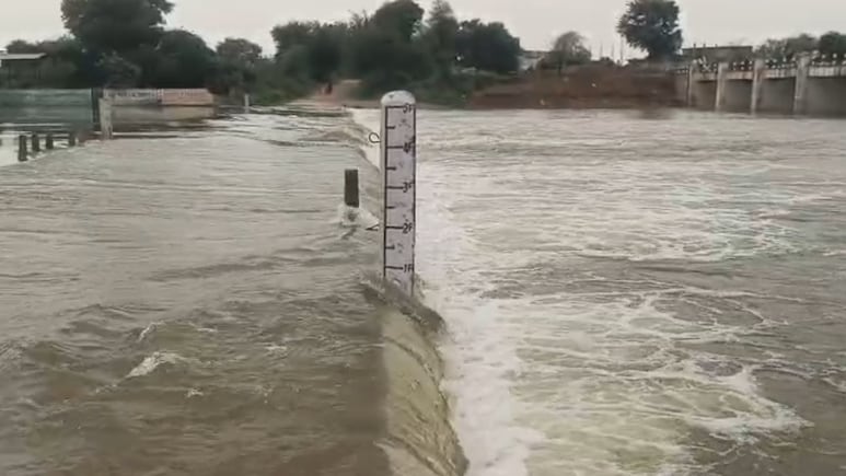 Rajasthan Weather: पार्वती बांध के 5 गेट खुले, मूसलाधार बारिश के बीच धौलपुर में प्रशासन अलर्ट मोड पर Rajasthan Weather: पार्वती बांध के 5 गेट खुले, मूसलाधार बारिश के बीच धौलपुर में प्रशासन अलर्ट मोड पर