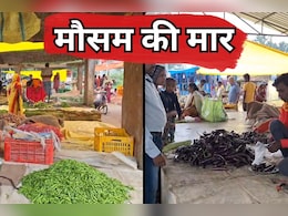 Vegetable Price Hike: आसमान छूने लगी सब्जियों की कीमत, इस वजह से बिगड़ रहा है किचन का जायक़ा, जानें-ताजा भाव Vegetable Price Hike: आसमान छूने लगी सब्जियों की कीमत, इस वजह से बिगड़ रहा है किचन का जायक़ा, जानें-ताजा भाव