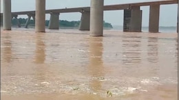 Dholpur News: चम्बल नदी उफान पर, शाम तक जल स्तर और बढ़ने की संभावना; बारिश से ओवर ब्रिज की सड़क धंसी&nbsp;