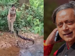 "Amazing Courage": Shashi Tharoor Praises Kerala Forest Officer Who Rescued King Cobra "Amazing Courage": Shashi Tharoor Praises Kerala Forest Officer Who Rescued King Cobra