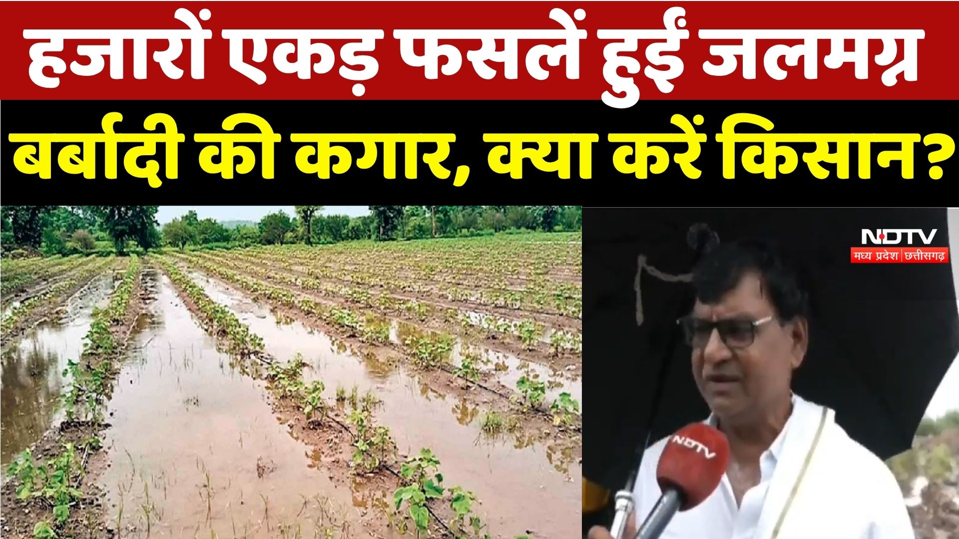 Jabalpur Farmers: खेतो में निकासी की व्यवस्था नहीं होने से किसान परेशान | Crops | Rain | Monsoon 2025