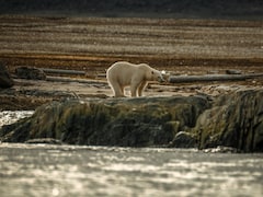 From Ice Sheets To Oceans: The Climate Tipping Points That Worry Scientists