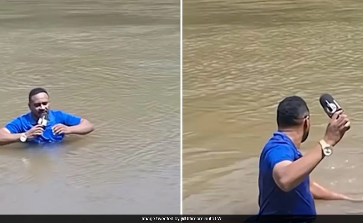 Journalist Steps On Missing Girl's Body While Reporting Her Disappearance