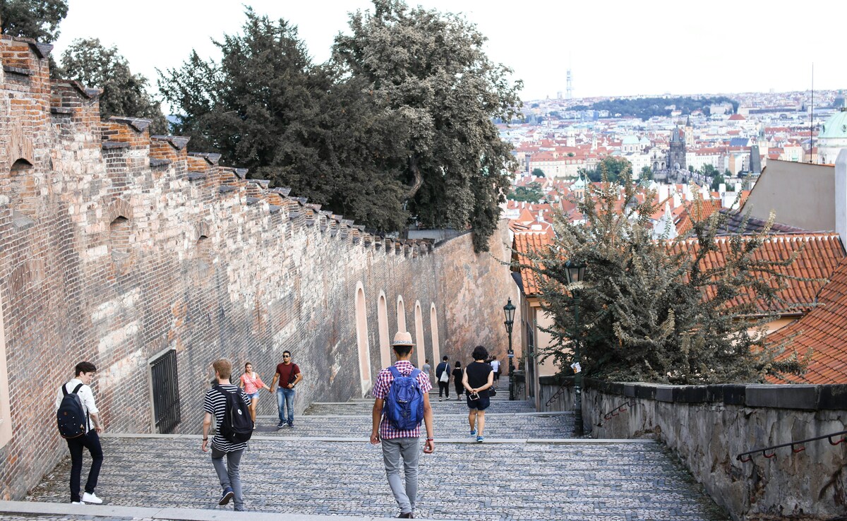 Latest and Breaking News on NDTV