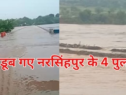 MP में उफान पर नर्मदा नदी... डूब गए चार ब्रिज, यातायात बाधित, नरसिंहपुर और जबलपुर के बीच टूटा संपर्क