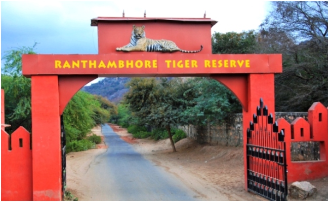 रणथंभौर टाइगर रिजर्व सफारी में मोबाईल फोन पूरी तरह बैन, सुप्रीम कोर्ट गाइडलाइन लागू