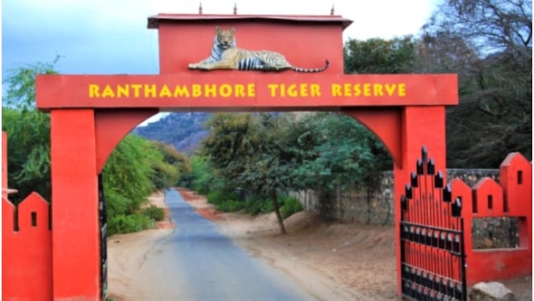 Ranthambore Safari Booking: रणथंभौर टाइगर रिजर्व ने लॉन्च की टिकट बुकिंग की नई वेबसाइट, अब हर पर्यटक से मांगी जाएगी ID; हुए ये बदलाव