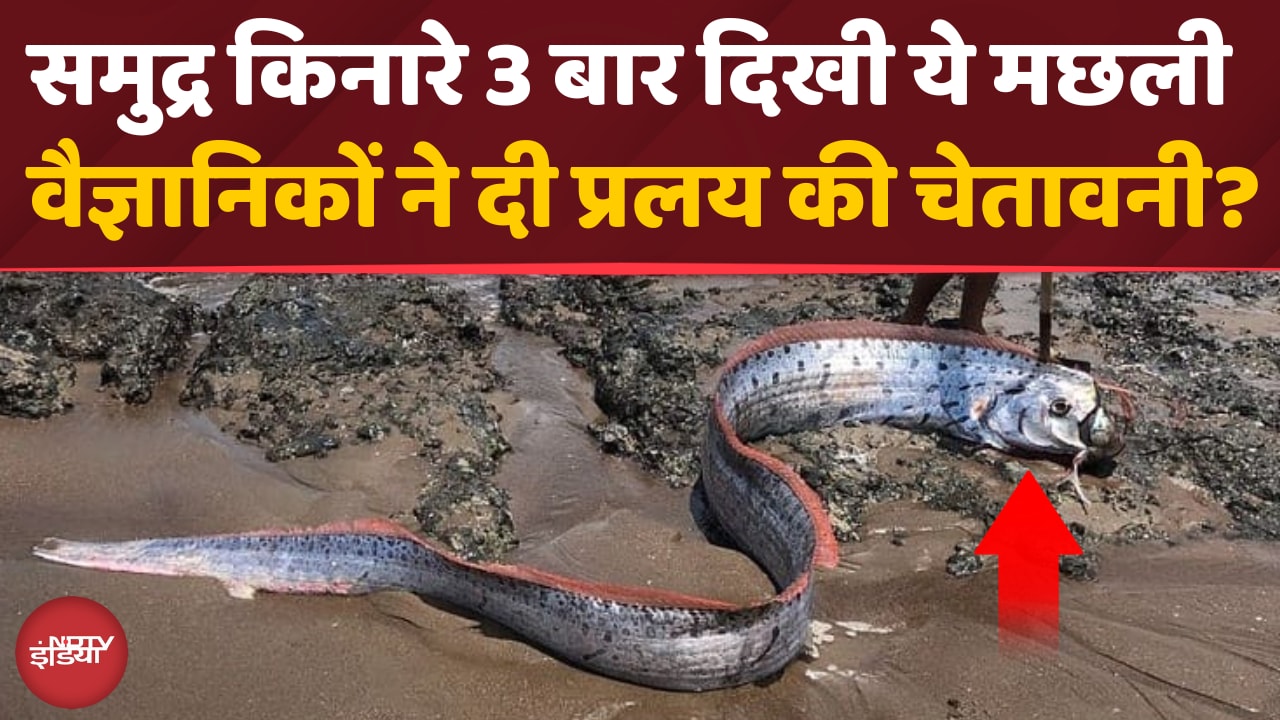 Oarfish: प्रलय का संकेत या सिर्फ एक मछली | वैज्ञानिकों ने खोला सबसे बड़ा राज