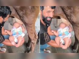 Reel के चक्कर में गाय के थन से सीधे बच्चे को पिलाया दूध, वीडियो देख भड़के लोग Reel के चक्कर में गाय के थन से सीधे बच्चे को पिलाया दूध, वीडियो देख भड़के लोग