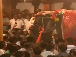 महादेवी हत्तीणीच्या निरोपासाठी अख्खं गाव आलं एकत्र, गावकऱ्यांचा संताप; मिरवणुकीच्या शेवटी दगडफेक महादेवी हत्तीणीच्या निरोपासाठी अख्खं गाव आलं एकत्र, गावकऱ्यांचा संताप; मिरवणुकीच्या शेवटी दगडफेक