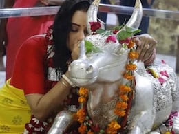 अनुपमा पहुंचीं उज्जैन, महाकाल के दर्शन कर नंदी के कान में कही दिल की बात अनुपमा पहुंचीं उज्जैन, महाकाल के दर्शन कर नंदी के कान में कही दिल की बात