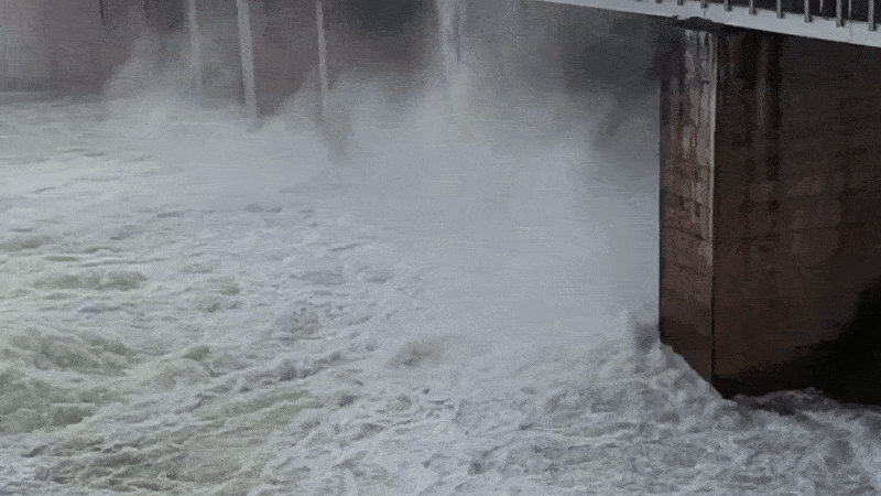 Rajasthan: करौली में भारी बारिश के बाद पांचना बांध के गेट खोले, प्रशासन ने इलाके में जारी किया हाई अलर्ट 