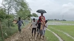 Bride Walks Through Mud, Groom Carried On Shoulders In Odisha Village Without Road