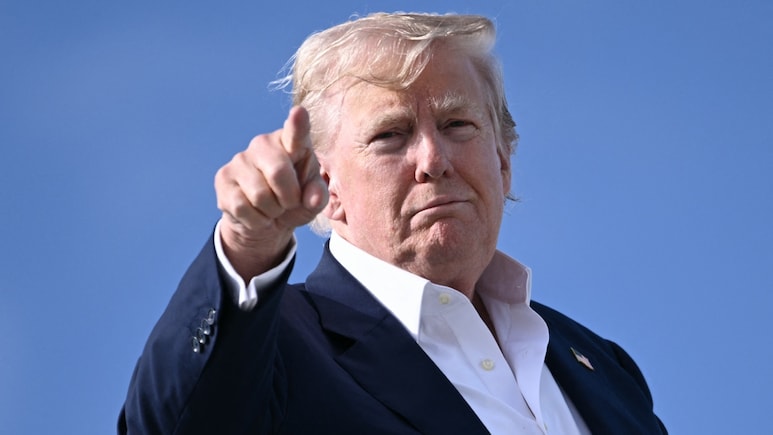 From "Tariff King" To "Big Charger", Trump's Comments On Trade With India