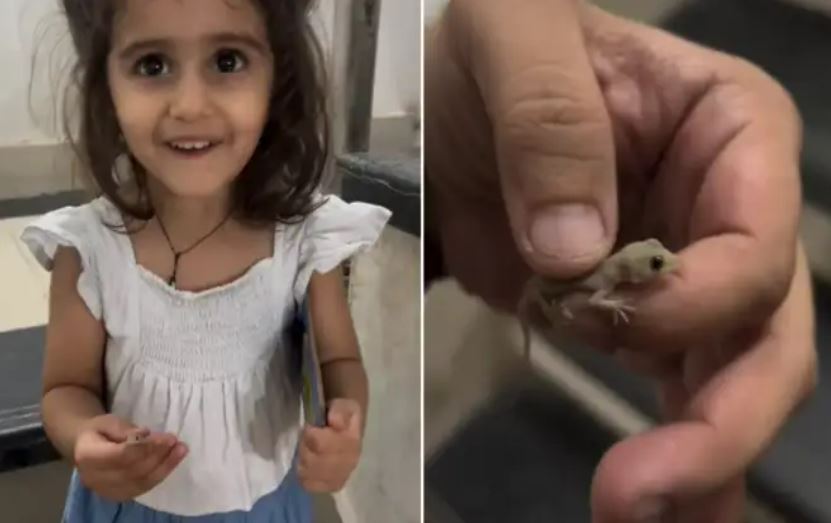 पापा ने बच्ची के हाथ में पकड़ा दी छिपकली, नन्हीं गुड़िया का रिएक्शन सोशल मीडिया पर हुआ वायरल
