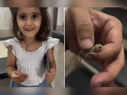 पापा ने बच्ची के हाथ में पकड़ा दी छिपकली, नन्हीं गुड़िया का रिएक्शन सोशल मीडिया पर हुआ वायरल