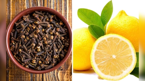 Lemon and Clove Remedy: लवंग आणि लिंबू एकत्र खाल्ल्यास काय होते? डॉक्टरांनुसार फक्त 3 दिवसांत शरीरात दिसेल मोठा फरक