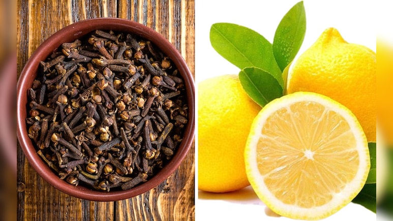 Lemon and Clove Remedy: लवंग आणि लिंबू एकत्र खाल्ल्यास काय होते? डॉक्टरांनुसार फक्त 3 दिवसांत शरीरात दिसेल मोठा फरक Lemon and Clove Remedy: लवंग आणि लिंबू एकत्र खाल्ल्यास काय होते? डॉक्टरांनुसार फक्त 3 दिवसांत शरीरात दिसेल मोठा फरक