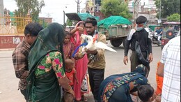 Ajab Gajab: राजस्थान में सदियों से यहां लगता है अनोखा मेला, बच्चों के मुंडन के बाद उनके सिर पर घुमाया जाता है मुर्गा
