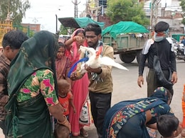 Ajab Gajab: राजस्थान में सदियों से यहां लगता है अनोखा मेला, बच्चों के मुंडन के बाद उनके सिर पर घुमाया जाता है मुर्गा Ajab Gajab: राजस्थान में सदियों से यहां लगता है अनोखा मेला, बच्चों के मुंडन के बाद उनके सिर पर घुमाया जाता है मुर्गा