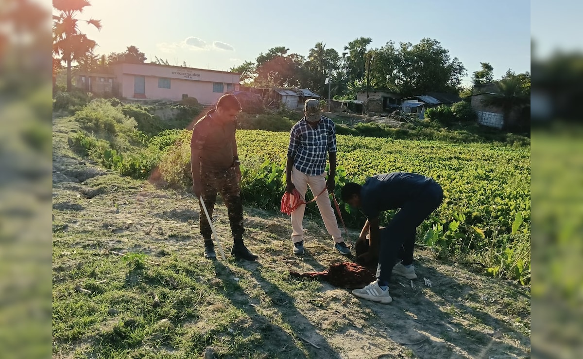 Latest and Breaking News on NDTV Latest and Breaking News on NDTV