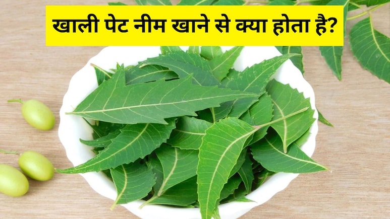 खाली पेट नीम खाने से क्या होता है? डॉक्टर मिक्की मेहता ने बताया एक नहीं मिलेंगे 6 जबरदस्त फायदे, बस जान लें खा खाली पेट नीम खाने से क्या होता है? डॉक्टर मिक्की मेहता ने बताया एक नहीं मिलेंगे 6 जबरदस्त फायदे, बस जान लें खा
