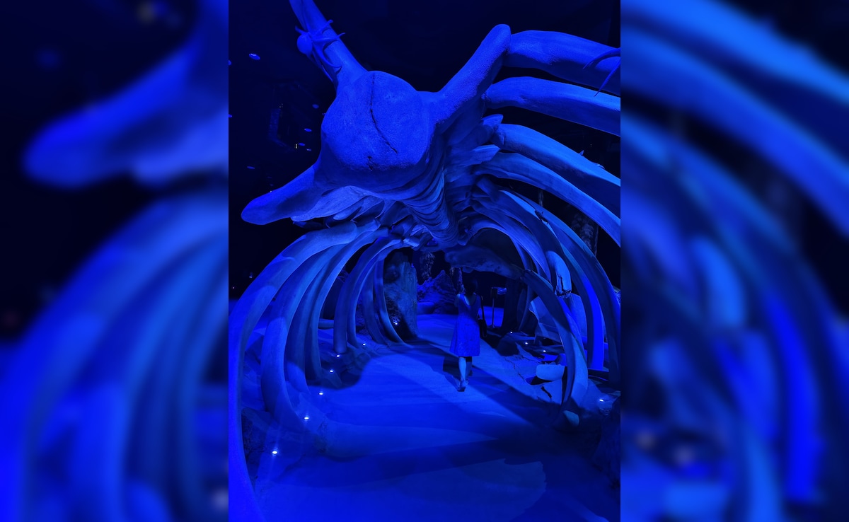 Singapore Oceanarium. Photo: Author Singapore Oceanarium. Photo: Author