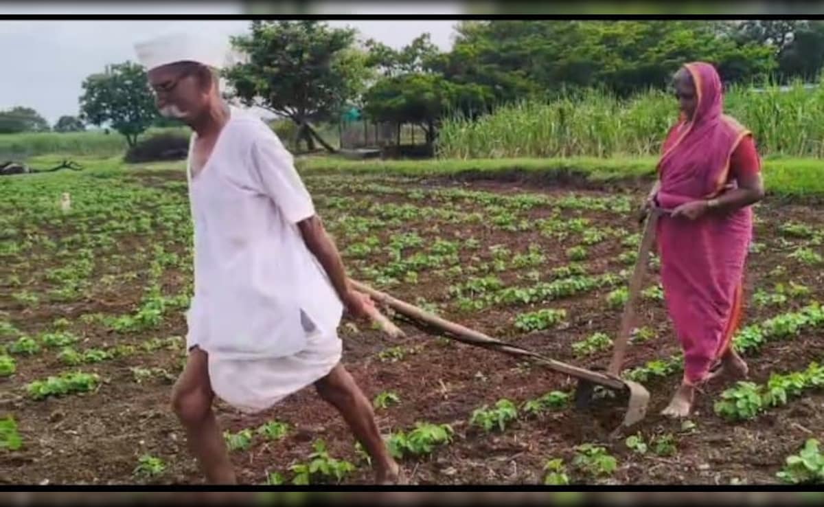 Latest and Breaking News on NDTV