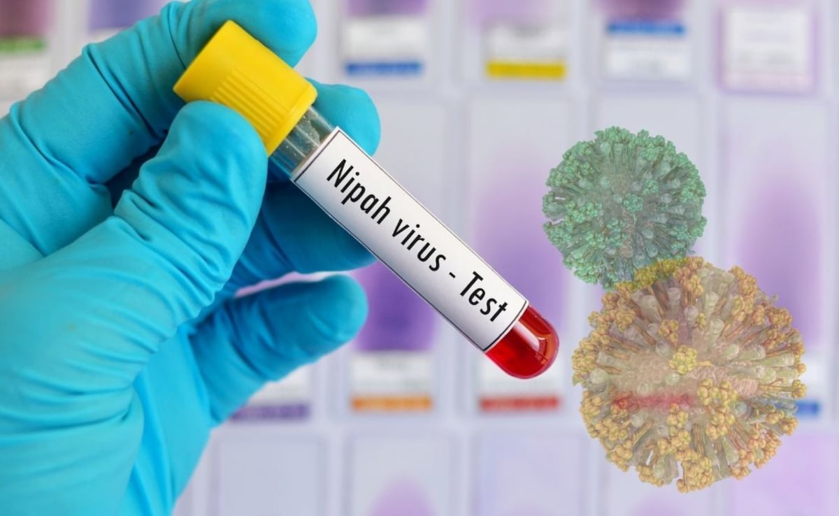 Nipah Virus Screenings At International Airports: How It Differs From Covid-19 Checks And What Travellers Should Expect