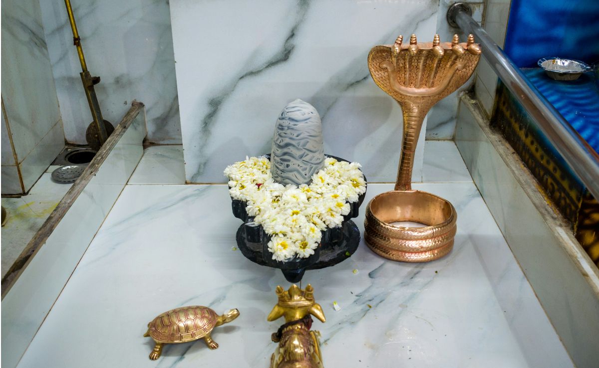 Sawan Shivratri: कब करें पूजा, क्या है पूजन का शुभ मूहुर्त, क्या आप रख रहे हैं व्रत? तो ये स्नैक्स कर सकते हैं आपकी भूख शांत Sawan Shivratri: कब करें पूजा, क्या है पूजन का शुभ मूहुर्त, क्या आप रख रहे हैं व्रत? तो ये स्नैक्स कर सकते हैं आपकी भूख शांत