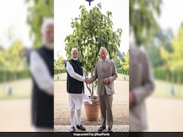 PM Modi Presents <i>'Ek Ped Maa Ke Naam'</i> To King Charles For Royal Estate PM Modi Presents <i>'Ek Ped Maa Ke Naam'</i> To King Charles For Royal Estate