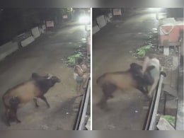 आतंकी सांड का वीडियो देखकर आपका भी दहल जाएगा दिल, चंद सेकेंड में शख्स की पलट गई थी दुनिया...