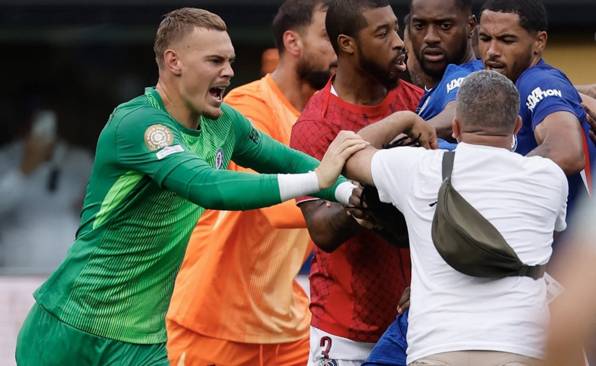 "Should Have Been Avoided": Luis Enrique On Club World Cup Final Scuffle